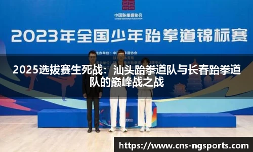 2025选拔赛生死战：汕头跆拳道队与长春跆拳道队的巅峰战之战